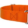 Country Brook Design Martingale Heavyduty Nylon Dog Collar and Double Handle Leash - 4 of 4