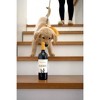 Bar Dog Pinot Noir Red Wine - 750ml Bottle - 3 of 4