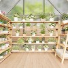 GustoWave 6 x 4 ft Greenhouse, Polycarbonate Walk-in Greenhouse with Aluminum Frame - 4 of 4