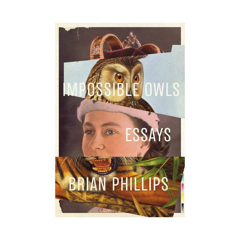 Impossible Owls - by  Brian Phillips (Paperback), 1 of 2
