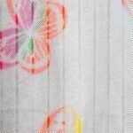 rainbow butterfly