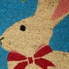 Design Imports  Easter Bunny Doormat - 4 of 4