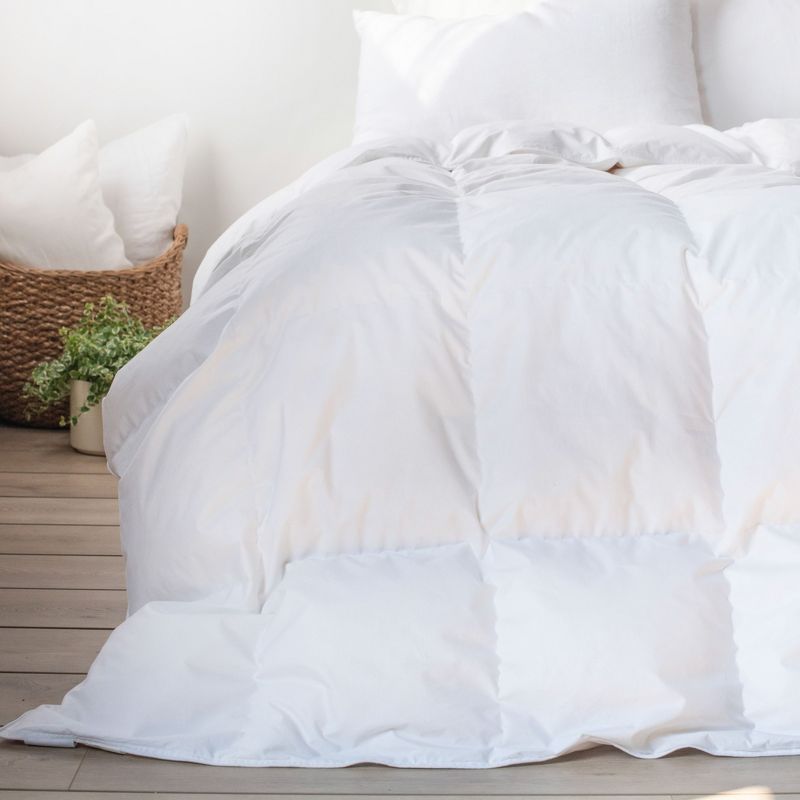 Feather & Down Duvet Comforter Insert | BOKSER Home, 5 of 11