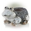 11" Wide Planter Novelty Gray - Alpine Corporation: Polyresin Animal Shaped, Freestanding/Tabletop Decor, 17" Depth - 3 of 4