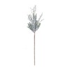 Melrose Pine Spray (Set of 6) - 2 of 3