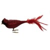 Old World Christmas 2.25 In Large Cardinal Ornament Red Bird Clip-On Tree Ornaments - 2 of 3