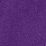purple orchid lavender