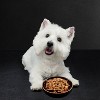 Cesar Home Delights Chicken, Potato, Turkey, Vegetable, Beef and Gravy Flavor Variety Pack Small Breed Wet Dog Food - 3.5oz/24ct - 4 of 4