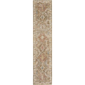 Nourison Petra Oramental Indoor Rug - 1 of 4