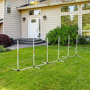 Dog Agility Training Equipment Set,Adjustable Weave Poles for Backyard,Portable Outdoor Dog Agility Course for Exercise - LAOTIES - 1 of 4