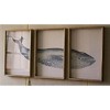 Wall Art, Framed Whale Print Under Glass 26"H – Distressed Gray Wood Frame Coastal Wall Decor by Kalalou - 2 of 3