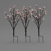 3pc Indoor/Outdoor Branches LED Pathway Lights - Smith & Hawken™ - image 3 of 4