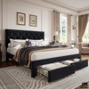 Jojoka Full/Queen/King Bed Frame with 2 Storage Drawers, Velvet Upholstered, Tufted Rivet Headboard, Wooden Slats, Noise-Free, No Box Spring Needed - 3 of 4