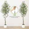 5FT/6FT/7FT Fake Olive Tree, Artificial Tree with Realistic Wood Trunk, Silk Leaves & Lifelike Olive Fruits in Decorative White Pot - 3 of 4