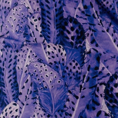 purple feathers