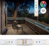 Armacost Lighting 5 Pin IP67 Outdoor LED Strip Light RGB+W Tape to Tape Splice Connector 4pk Light Accessory - 3 of 3