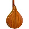 Gold Tone OM-800+ Octave Mandolin Natural - 2 of 4