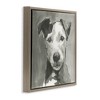 Stupell Industries Muted Dog with Quiet Expression, 18" x 18" - 3 of 4