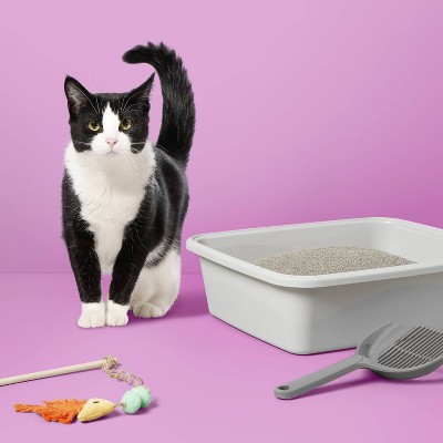 Lightweight Scented Clumping Cat Litter - up&up™, 2 of 5