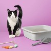 Lightweight Scented Clumping Cat Litter - up&up™ - image 2 of 4