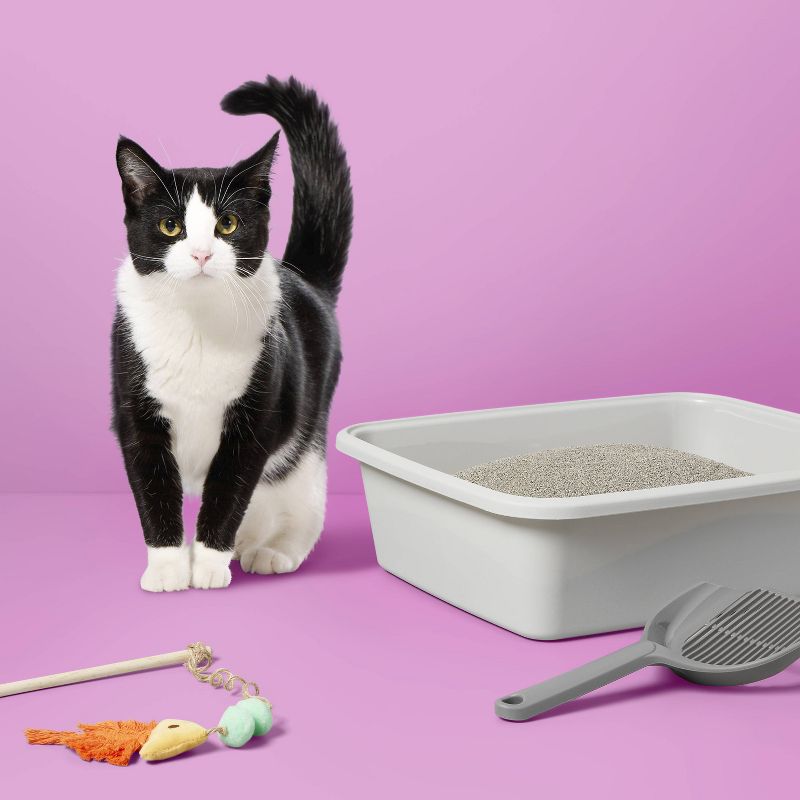 Lightweight Scented Clumping Cat Litter - up & up™, 2 of 5