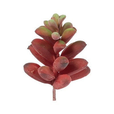 Vickerman 4" Artificial Assorted Succulent Picks, 6 per Bag