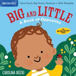 Indestructibles: Big and Little: A Book of Opposites - by  Amy Pixton (Paperback) - 1 of 1