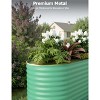 Galvanized Raised Garden Beds Outdoor, Oval Metal Planter Boxes Outdoor, Bottomless Planter Raised Beds for Vegetables Flowers Herbs Fruits - 4 of 4