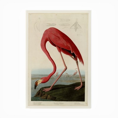 American Flamingo Light Mixed Media Canvas Art 19" x 12"