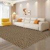 Acekool 5x7 Washable Braided Print Area Rug, Non-Slip Modern Soft Carpet, Stain Resistant Low Pile Throw Rug for Living Room, Bedroom - 3 of 4