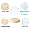 Unique Bargains Wooden Base Plants Home Decor Glass Bell Jar Display Case - 3 of 4