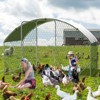 Large Metal Chicken Coop, Dome Chicken Coop with Upgrade Tri-Supporting, Chicken Run with Waterproof and Anti-UV Cover - 2 of 4