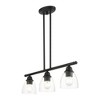 Livex Lighting Montgomery 3 - Light Chandelier in  Black - 4 of 4