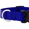 Country Brook Petz Deluxe Nylon Dog Collar and Leash - 4 of 4