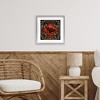 Stupell Industries Fright Night Bat & Botanicals Framed Print Under Glass - 3 of 4