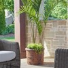 Uttermost Weathered Relic Planter-Rugged Reinforced Concrete in Rust Black Finish - 2 of 4