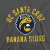 University of California-Santa Cruz Official Banana Slugs Logo Unisex Adult Pull-Over Hoodie, Charcoal - image 2 of 4