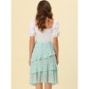 INSPIRE CHIC Women's Floral Layered Elastic Waist Chiffon Ruffle Midi Skirt - 4 of 4