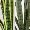 Fake Snake Plant with Pot, Realistic Faux Potted Artificial Snake Plant for Home, Living Room, Office & Outdoor Garden Decoration - 4 of 4