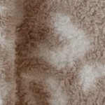 leopard beige
