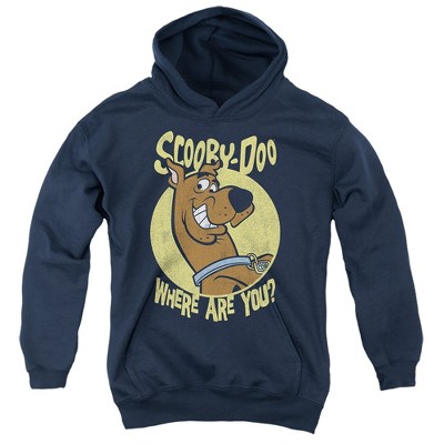 Boys’ Scooby Doo Where Are You Hooded Sweatshirt