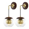 Poloma 8" Wall Sconce (Set of 2) - SCN4100 - Dark Walnut/Brass - Safavieh - 3 of 4