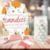 Big Dot of Happiness Girl Little Pumpkin - How Many Candies Fall Birthday Party or Baby Shower Game - 1 Stand and 40 Cards - Candy Guessing Game - 2 of 4