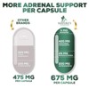 Adrenal Support Supplement 1300mg Natural Stress Relief & Cortisol Manager Pills - 120 Capsules - 4 of 4