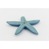 Collectible Wildlife Gifts | Starfish, Blue, Sea Star, Echinoderms,  Asteroidea, Ocean, Sea Life, Plastic ,  Animal, Gift,  2 1/4 " F925 B158 - 4 of 4