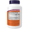 Sunflower Lecithin 1200mg by Now Foods  -  100 Softgel - 2 of 2
