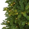 9ft Nearly Natural Pre-Lit LED Slim Mountain Pine Artificial Christmas Tree Clear Lights - 3 of 4