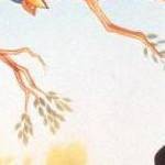 clear push pins bundle