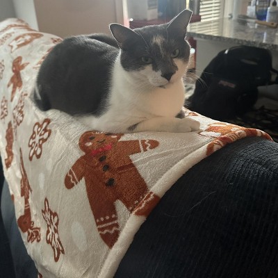 Guest review image 1 of 1, zoom in