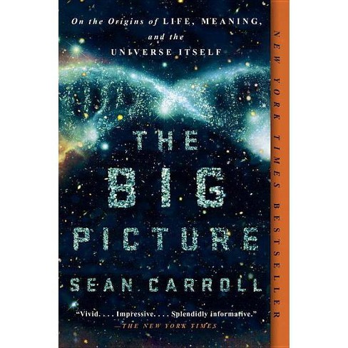 The Big Picture By Sean Carroll Paperback Target